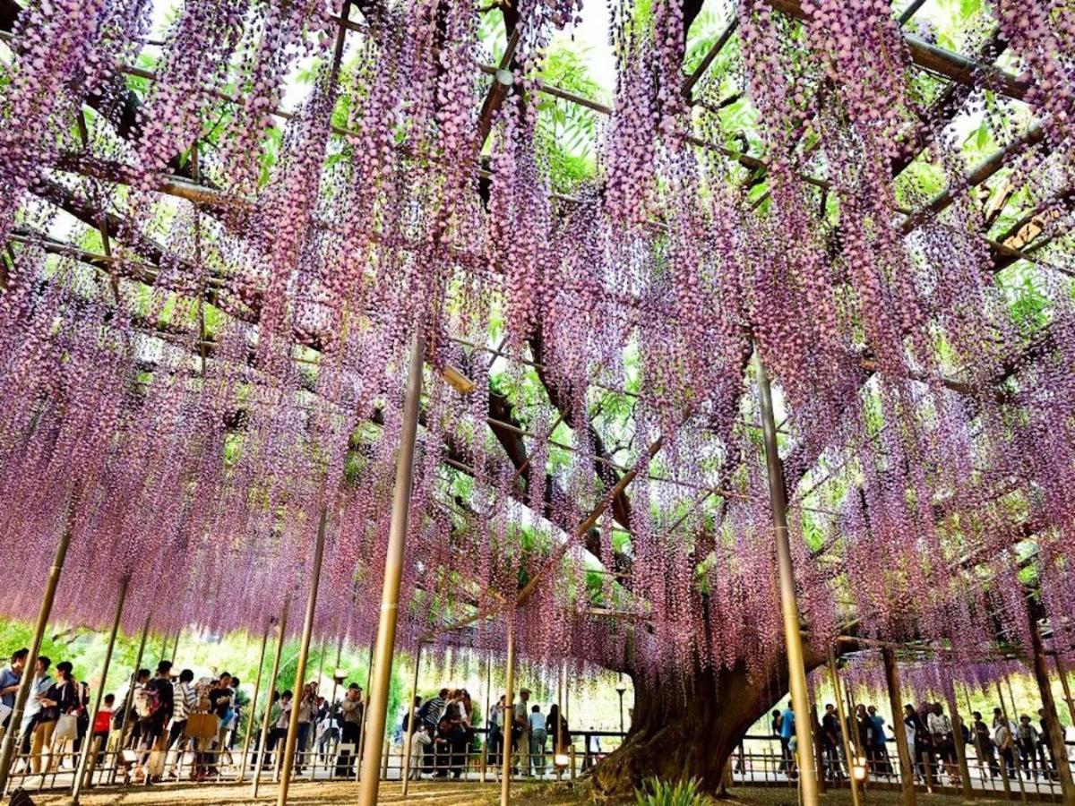 Hotel Nasushiobara Ichimantei Exteriér fotografie