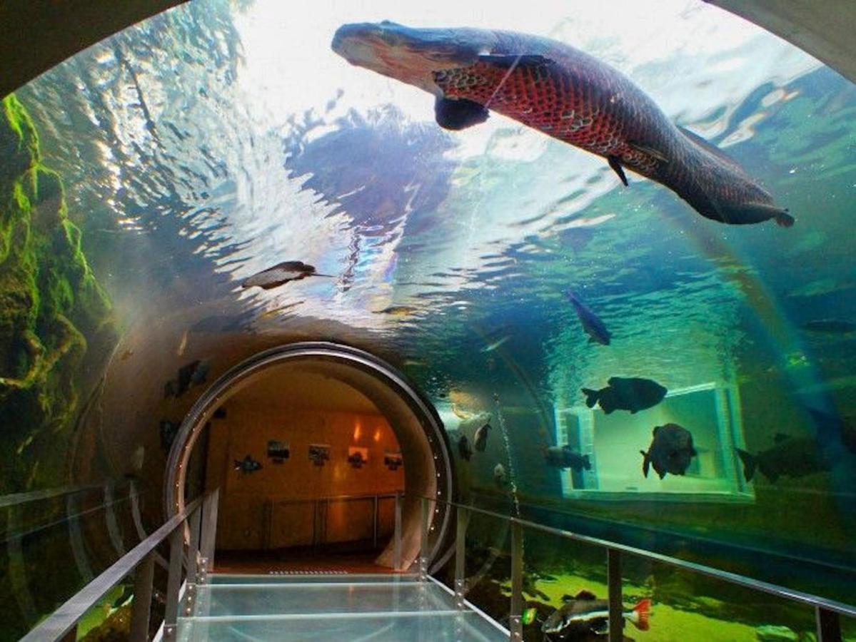 Hotel Nasushiobara Ichimantei Exteriér fotografie